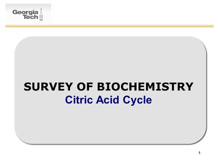 SURVEY OF BIOCHEMISTRY Citric Acid Cycle