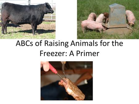 ABCs of Raising Animals for the Freezer: A Primer.