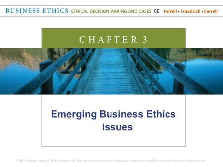 Emerging Business Ethics Issues