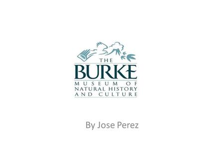 By Jose Perez. Stories in Stone Stories in Stone David Williams will lead a 1.5-mile-long walk to discover fossils as large as cinnamon rolls, rock used.