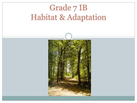 Grade 7 IB Habitat & Adaptation. Habitat The environment in which a specific species lives in. Example : Canadian beavers live in the wetlands and lakes.