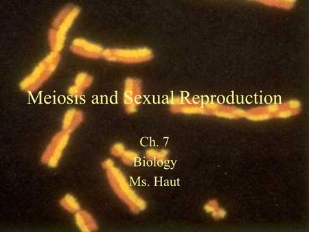 Meiosis and Sexual Reproduction Ch. 7 Biology Ms. Haut.