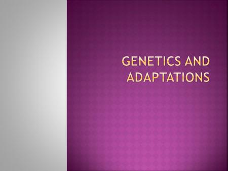  What is an acquired trait?  A trait that an organism acquires or gains over its lifetime. It cannot be passed on to its offspring. Like the ability.