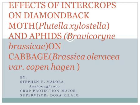 BY: STEPHEN E. MALOBA A22/0043/2007 CROP PROTECTION MAJOR SUPERVISOR: DORA KILALO EFFECTS OF INTERCROPS ON DIAMONDBACK MOTH(Plutella xylostella) AND APHIDS.