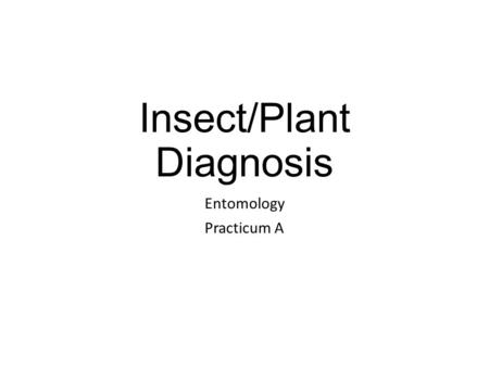 Insect/Plant Diagnosis