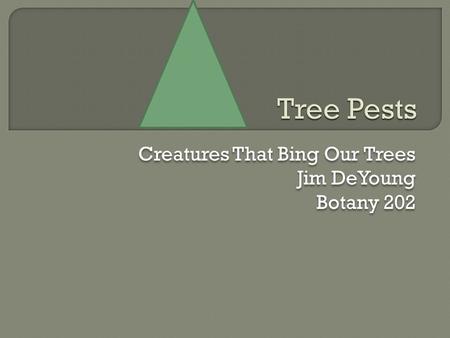 Creatures That Bing Our Trees Jim DeYoung Botany 202 Creatures That Bing Our Trees Jim DeYoung Botany 202.