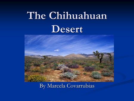 The Chihuahuan Desert By Marcela Covarrubias. What is the Chihuahuan Desert? What is the Chihuahuan Desert? Its a desert, and an ecoregion designation,