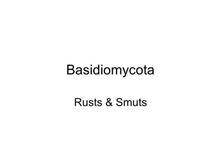 Basidiomycota Rusts & Smuts.