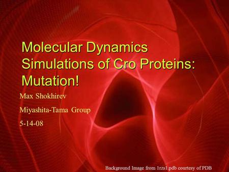 Molecular Dynamics Simulations of Cro Proteins: Mutation! Max Shokhirev Miyashita-Tama Group 5-14-08 Background Image from 1rzs1.pdb courtesy of PDB.
