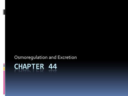 Osmoregulation and Excretion. 44.1 OSMOSIS Cells require a balance between osmotic gain and loss of water Water uptake and loss are balanced by being.