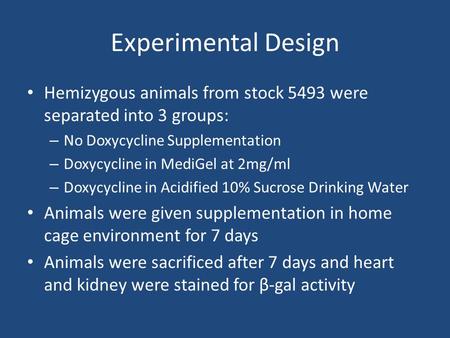 Experimental Design Hemizygous animals from stock 5493 were separated into 3 groups: – No Doxycycline Supplementation – Doxycycline in MediGel at 2mg/ml.