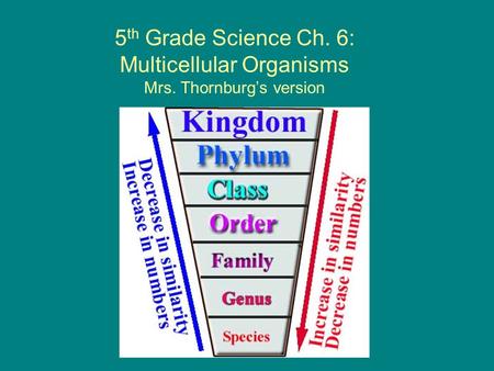 5 th Grade Science Ch. 6: Multicellular Organisms Mrs. Thornburg’s version.