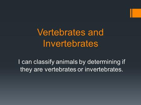 Vertebrates and Invertebrates