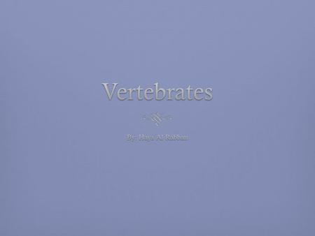 Vertebrates By: Haya Al Rabban.