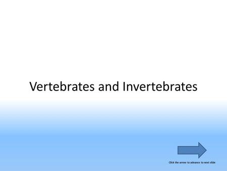 Vertebrates and Invertebrates