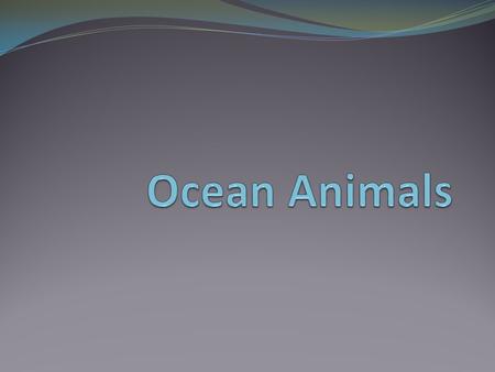 Types of Animals There are two main types of animals: Vertebrates and InvertebratesVertebrates and Invertebrates Vertebrates (have a backbone): Mammals.