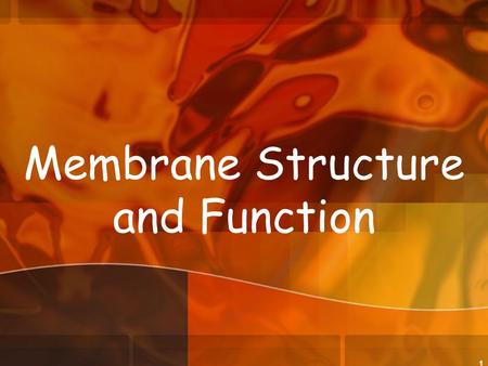 1 Membrane Structure and Function. 2 Plasma Membrane Overview Structure= Fluid mosaic Structure= Fluid mosaic of lipids and proteins bilayer - Lipid bilayer.