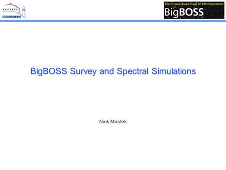 BigBOSS Survey and Spectral Simulations Nick Mostek.