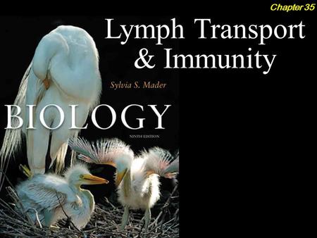 Biology, 9th ed, Sylvia Mader