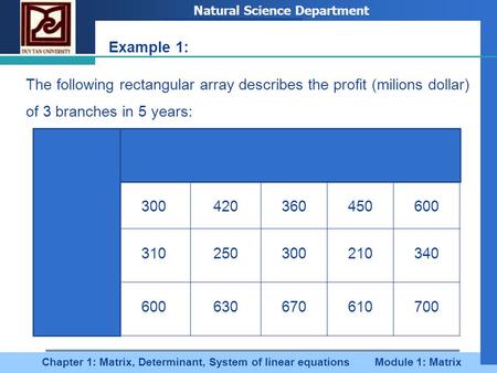 Company LOGO Chapter 1: Matrix, Determinant, System of linear equations Module 1: Matrix Natural Science Department Example 1: The following rectangular.