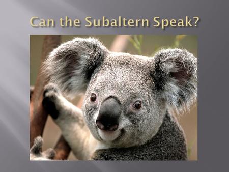  Subaltern refers to persons socially, politically, and geographically outside of the hegemonic power structure.  Subalterns are groups who have had.