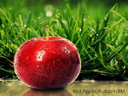 Red Apple, Autumn RM. To increase the quality of courses by involving the LBGs in a contest What is the purpose ?