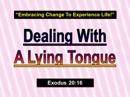 “Embracing Change To Experience Life!”