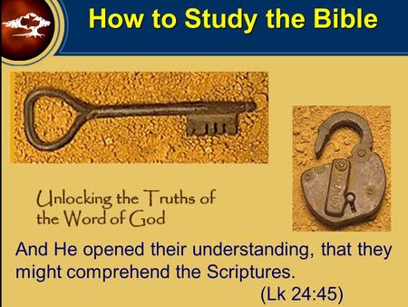 How to Study the Bible Unlocking the Truths of the Word of God