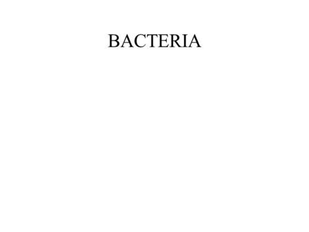 BACTERIA. Part of the Moneran Kingdom One celled organism that lacks a nucleus they do however have nuclear material within the cell wall.