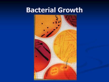 Bacterial Growth. I. Determine in terms of population size. Nature there is a of organisms living together. Nature there is a of organisms living together.