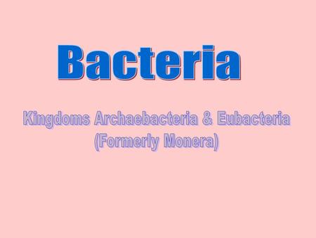 What are Bacteria? Bacteria are PROKARYOTES –The smallest known living cells They are found everywhere!! Bacteria on head of a pin Starr, 317 Bacteria.