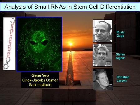 Stefan Aigner Christian Carson Rusty Gage Gene Yeo Crick-Jacobs Center Salk Institute Analysis of Small RNAs in Stem Cell Differentiation.