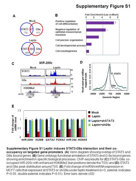 B Fold Enrichment (Lep vs Mock) 0 2 4 6 8 Positive regulation of cell differentiation Negative regulation of epithelial-mesenchymal- transition Cell junction.