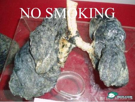 NO SMOKING.