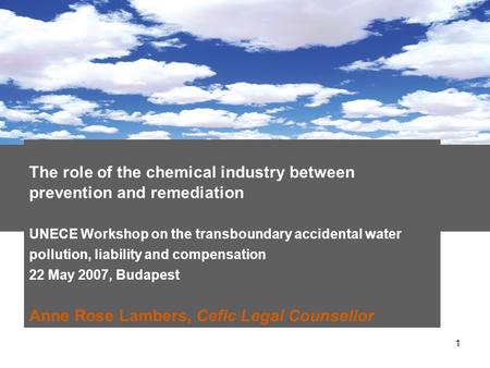 1 The role of the chemical industry between prevention and remediation UNECE Workshop on the transboundary accidental water pollution, liability and compensation.