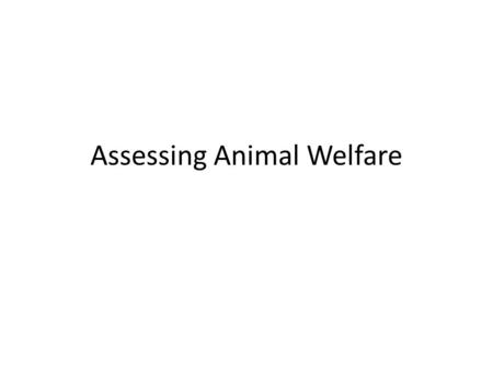 Assessing Animal Welfare. Components of Welfare* 1.Animal Bodies (gestation stalls vs. group housing) – Health, disease, growth, reproduction, etc. 2.Animal.