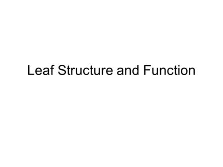 Leaf Structure and Function. Basic functions 1. Photosynthesis: process which plants use the energy from sunlight to produce sugar (for themselves) 2.