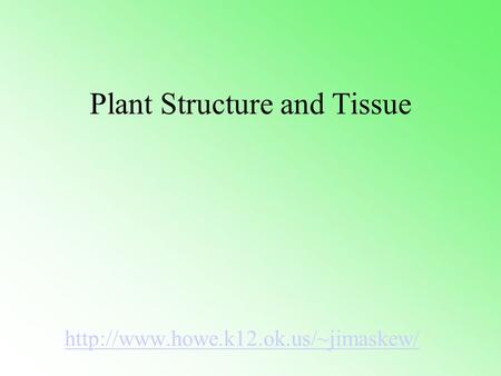 Plant Structure and Tissue