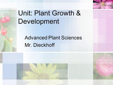 Unit: Plant Growth & Development