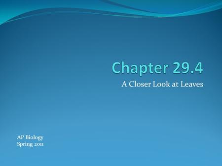A Closer Look at Leaves AP Biology Spring 2011. Leaf Structure and Function Variation in leaf types: Eudicot leaves: Simple: undivided, many lobed Compound: