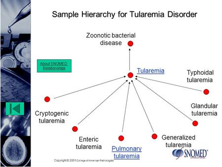 Copyright © 2001 College of American Pathologists Sample Hierarchy for Tularemia Disorder Zoonotic bacterial disease Enteric tularemia Glandular tularemia.