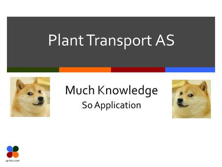 Plant Transport AS Much Knowledge So Application.