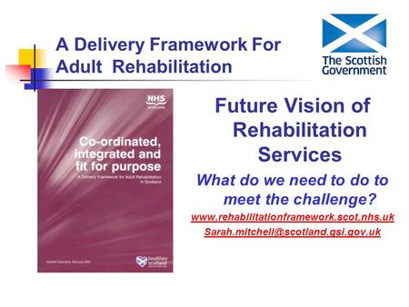 Future Vision of Rehabilitation Services What do we need to do to meet the challenge?