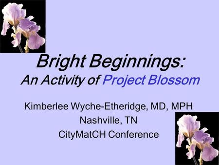 Bright Beginnings: An Activity of Project Blossom Kimberlee Wyche-Etheridge, MD, MPH Nashville, TN CityMatCH Conference.