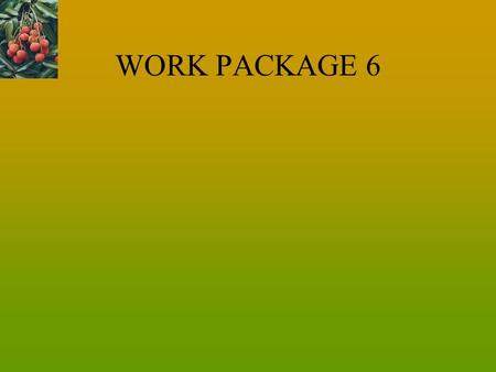 WORK PACKAGE 6. COATING FORMULATION 10 % Kaffirin Ethanol as solvent Plasticiser mixture (1:1:1) –Polyethylene Glycol –Lactic Acid –Glycerol Relaxation.