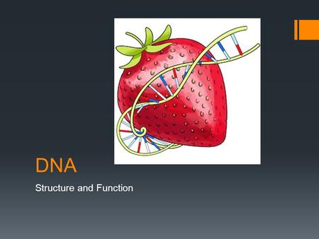 Structure and Function