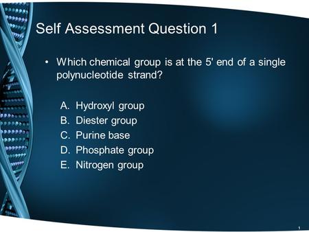 Self Assessment Question 1