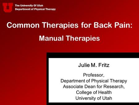 Common Therapies for Back Pain: