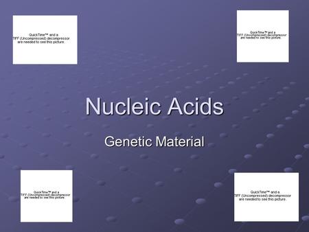 Nucleic Acids Genetic Material. Nucleic Acids are macromolecules There are two main types: DNARNA.