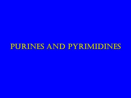 Purines and Pyrimidines